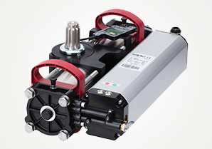 FAAC S800 ENC Automatisering voor draaipoorten