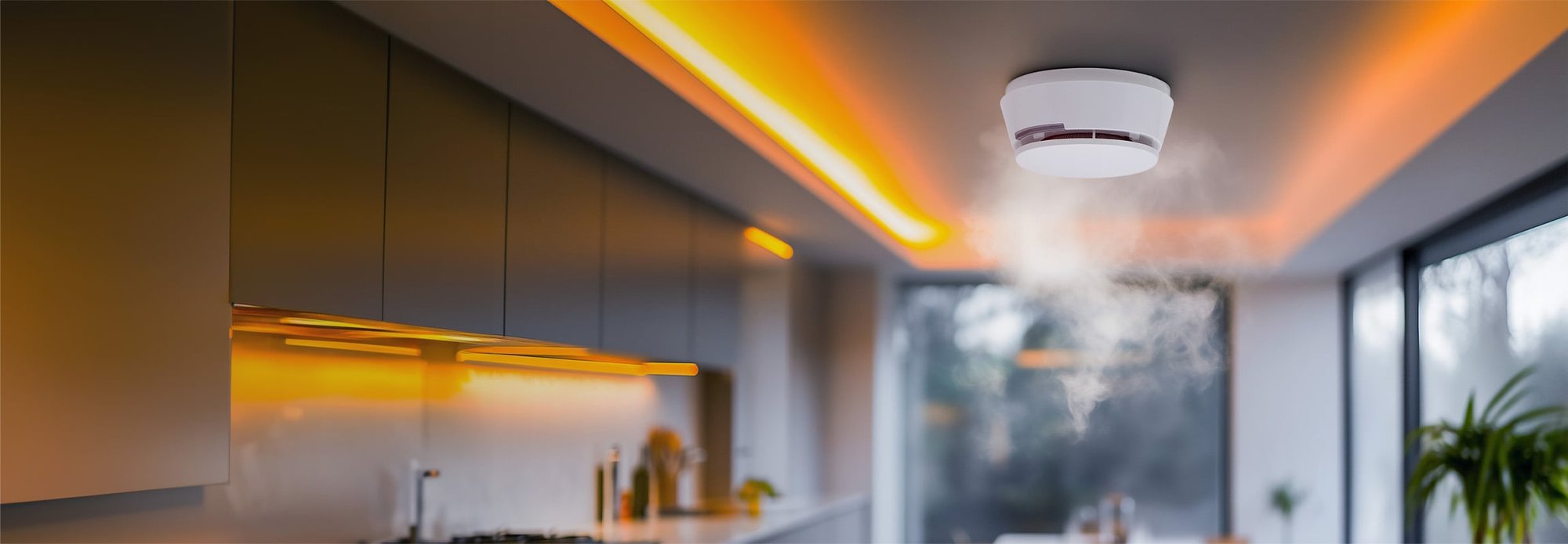 Fire Detection Systems